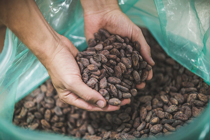 files/cacao-beans_fff36d23-bd39-42a1-b27f-01d79357faf2.jpg