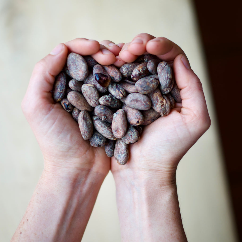 Holding cacao seeds