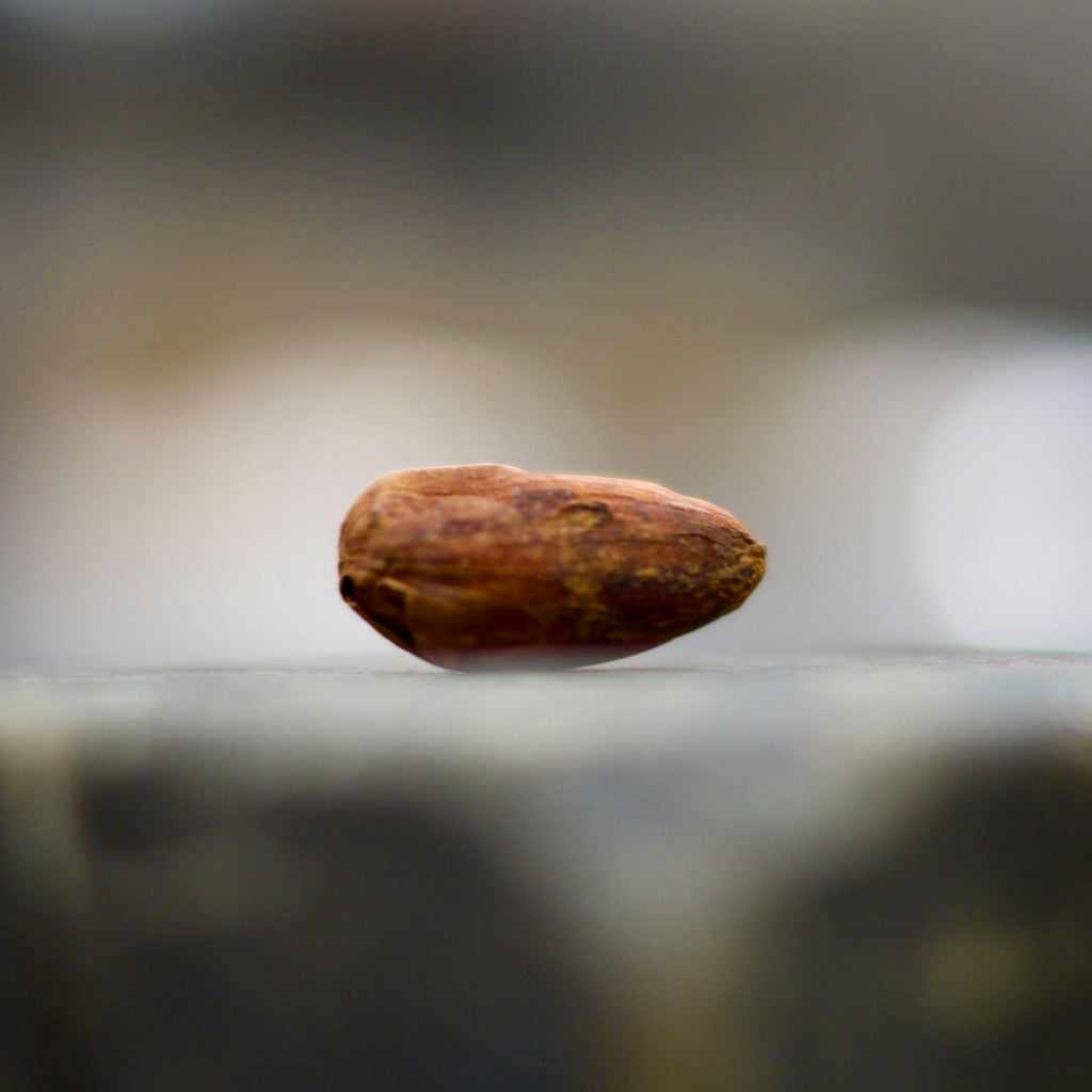 Lead and Cadmium in Chocolate