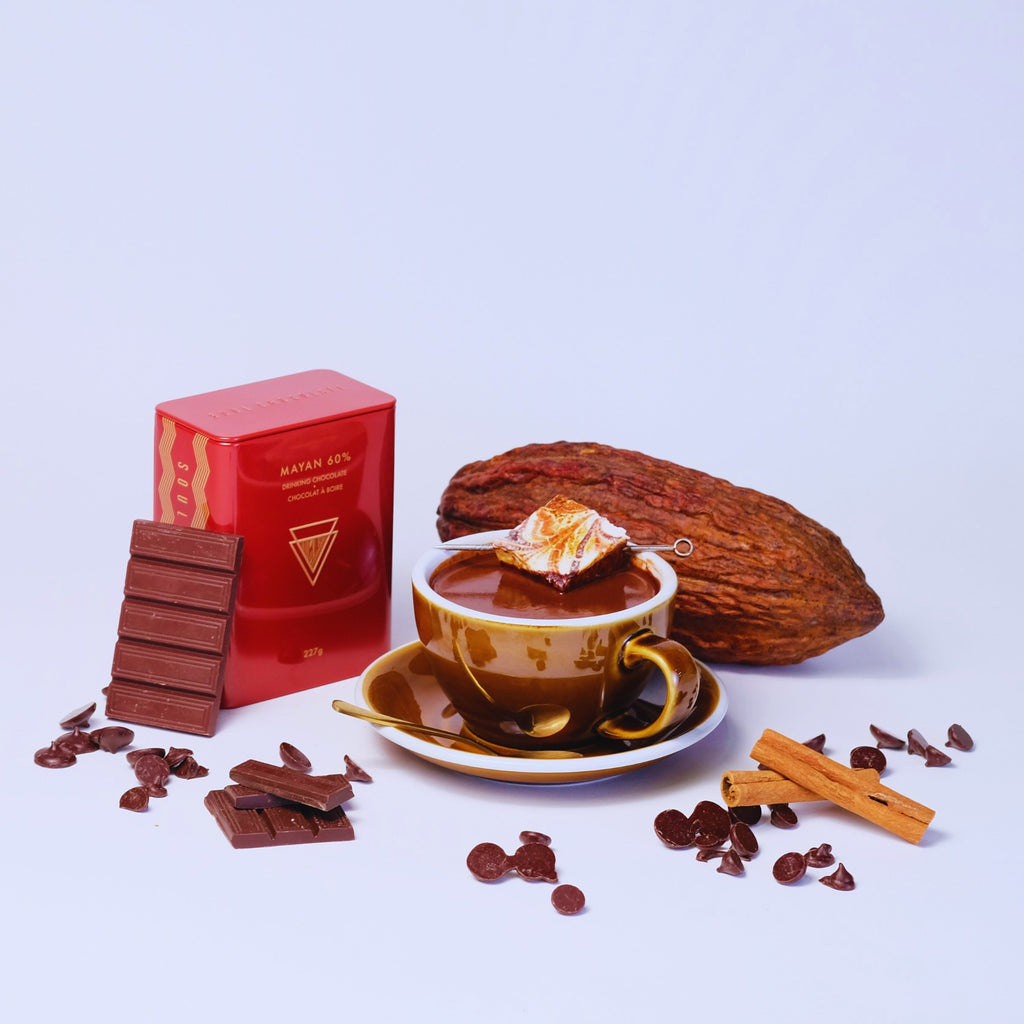 A table setting of Mayan hot cocoa mix in a red tin next to a warm mug of rich hot chocolate with a marshmallow