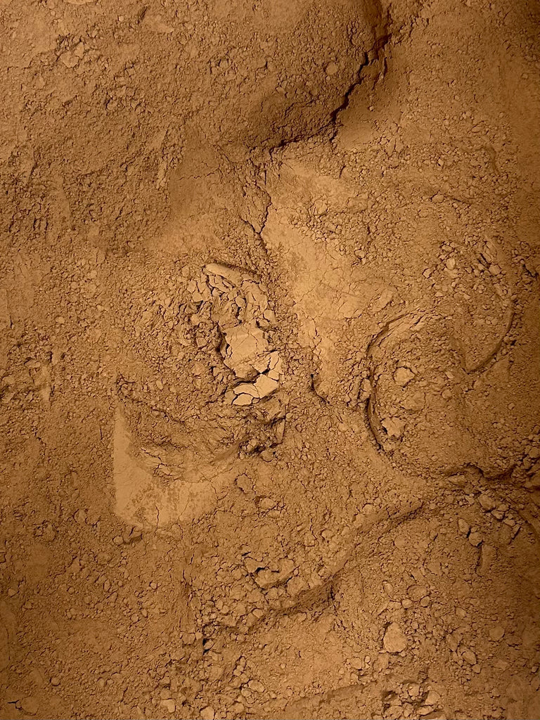 A raw batch of natural cocoa powder in bulk form used for baking chocolate brownies
