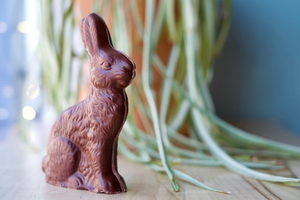 Our chocolate easter rabbit is solid chocolate. It is shown here standing up outside of its packaging.